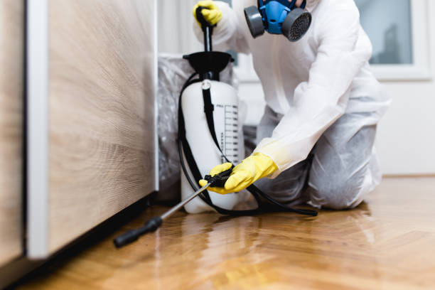 Best Pest Control Near Me  in Mcfarland, CA