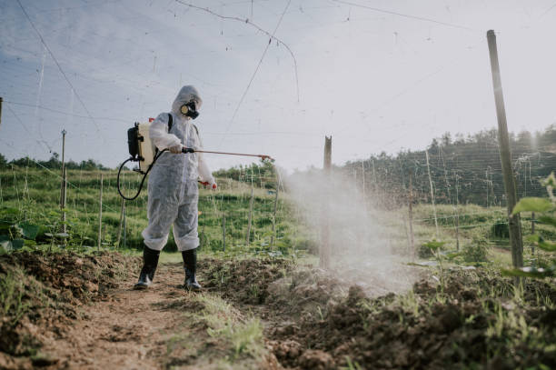 Best Pest Control for Homes  in Mcfarland, CA