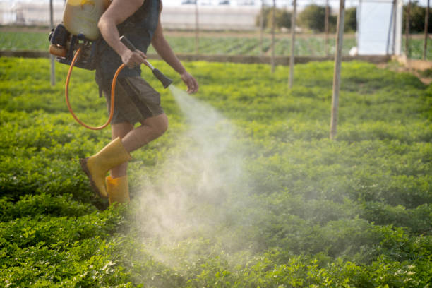 Mcfarland, CA Pest Control Company