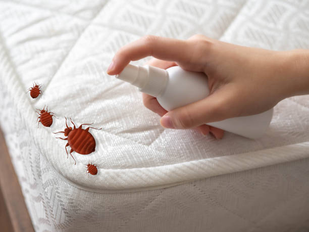 Best Affordable Pest Control Services  in Mcfarland, CA