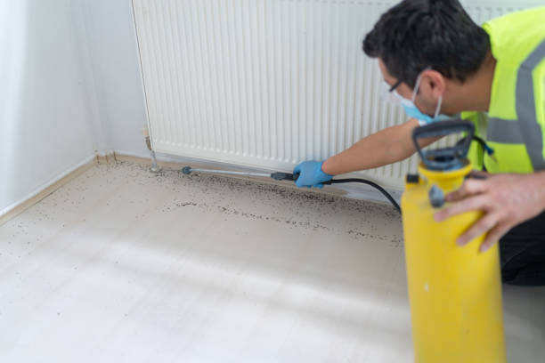 Best Affordable Pest Control Services  in Mcfarland, CA