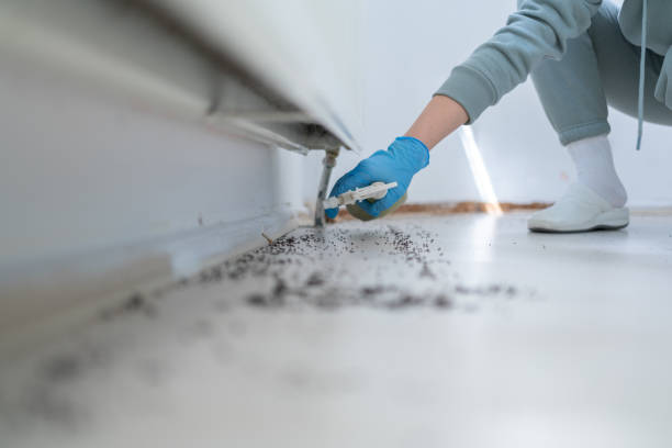 Best Insect Control  in Mcfarland, CA